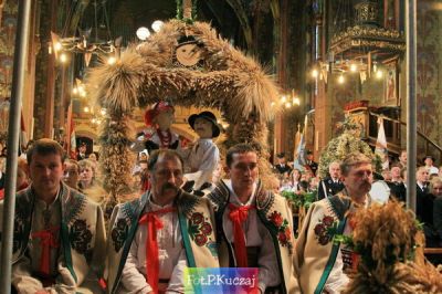 Kliknij aby obejrzeć w pełnym rozmiarze