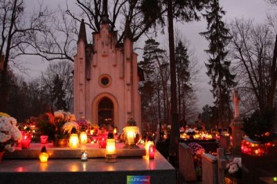 Kliknij aby obejrzeć w pełnym rozmiarze