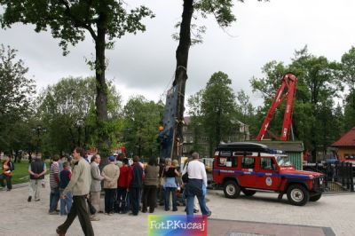 Kliknij aby obejrzeć w pełnym rozmiarze