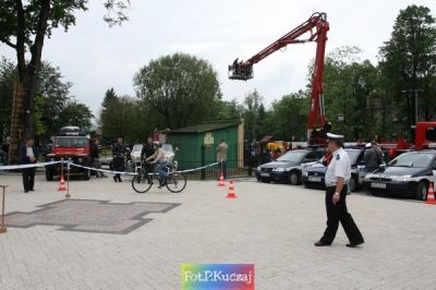 Kliknij aby obejrzeć w pełnym rozmiarze