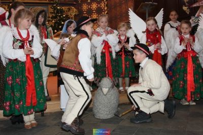 Kliknij aby obejrzeć w pełnym rozmiarze