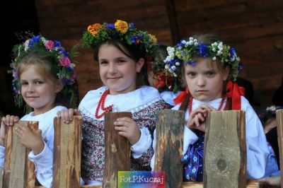 Kliknij aby obejrzeć w pełnym rozmiarze