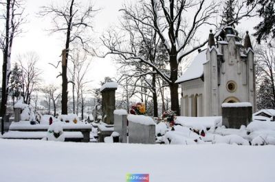 Kliknij aby obejrzeć w pełnym rozmiarze