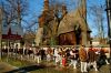 new-aDSC_2832.JPG