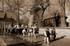 new-aDSC_2849.JPG