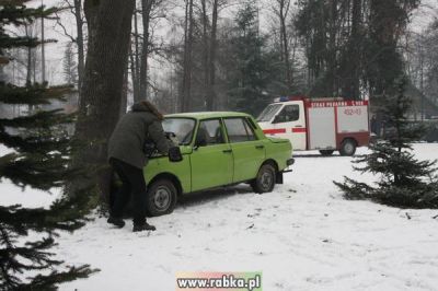 Kliknij aby obejrzeć w pełnym rozmiarze