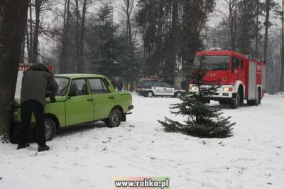 Kliknij aby obejrzeć w pełnym rozmiarze