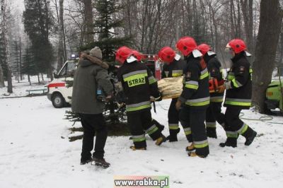 Kliknij aby obejrzeć w pełnym rozmiarze