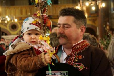 Kliknij aby obejrzeć w pełnym rozmiarze