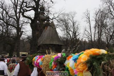 Kliknij aby obejrzeć w pełnym rozmiarze