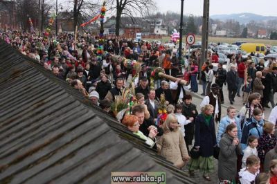 Kliknij aby obejrzeć w pełnym rozmiarze