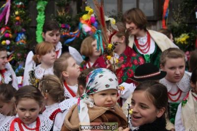 Kliknij aby obejrzeć w pełnym rozmiarze
