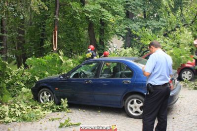 Kliknij aby obejrzeć w pełnym rozmiarze