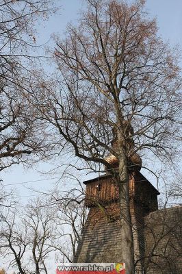 Kliknij aby obejrzeć w pełnym rozmiarze