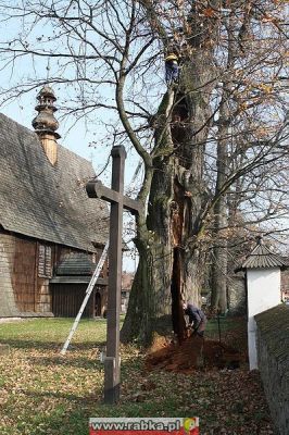 Kliknij aby obejrzeć w pełnym rozmiarze