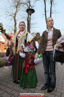 Kliknij aby obejrzeć w pełnym rozmiarze