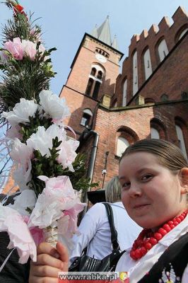 Kliknij aby obejrzeć w pełnym rozmiarze