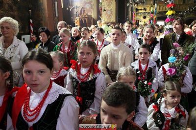 Kliknij aby obejrzeć w pełnym rozmiarze