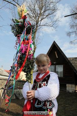 Kliknij aby obejrzeć w pełnym rozmiarze