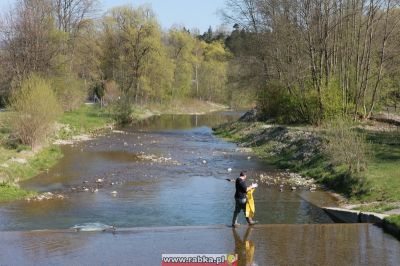 Kliknij aby obejrzeć w pełnym rozmiarze