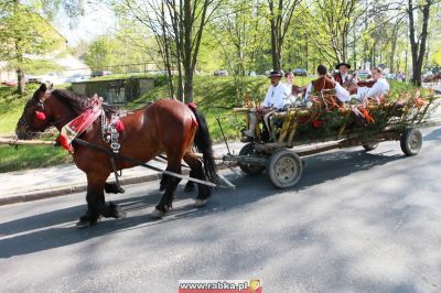 Kliknij aby obejrzeć w pełnym rozmiarze