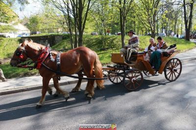 Kliknij aby obejrzeć w pełnym rozmiarze