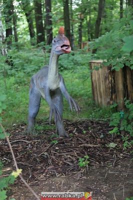 Kliknij aby obejrzeć w pełnym rozmiarze