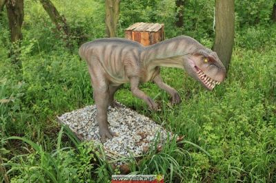 Kliknij aby obejrzeć w pełnym rozmiarze