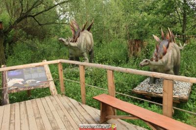 Kliknij aby obejrzeć w pełnym rozmiarze