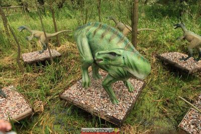 Kliknij aby obejrzeć w pełnym rozmiarze