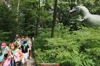 Kliknij aby obejrzeć w pełnym rozmiarze