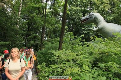 Kliknij aby obejrzeć w pełnym rozmiarze