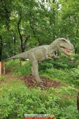 Kliknij aby obejrzeć w pełnym rozmiarze