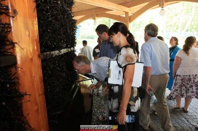 Kliknij aby obejrzeć w pełnym rozmiarze