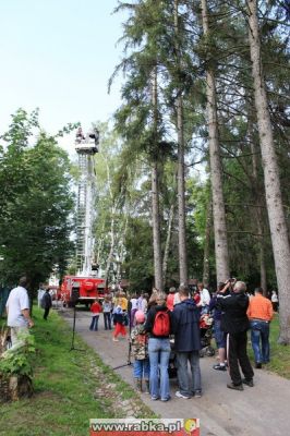 Kliknij aby obejrzeć w pełnym rozmiarze
