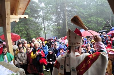 Kliknij aby obejrzeć w pełnym rozmiarze