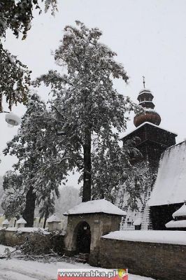 Kliknij aby obejrzeć w pełnym rozmiarze