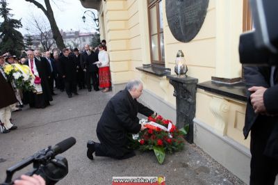 Kliknij aby obejrzeć w pełnym rozmiarze