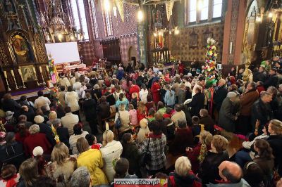 Kliknij aby obejrzeć w pełnym rozmiarze