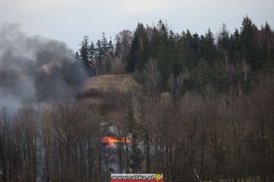 Kliknij aby obejrzeć w pełnym rozmiarze