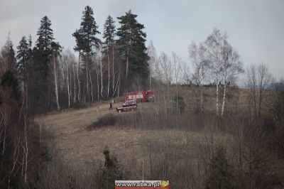 Kliknij aby obejrzeć w pełnym rozmiarze