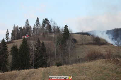 Kliknij aby obejrzeć w pełnym rozmiarze