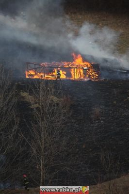 Kliknij aby obejrzeć w pełnym rozmiarze