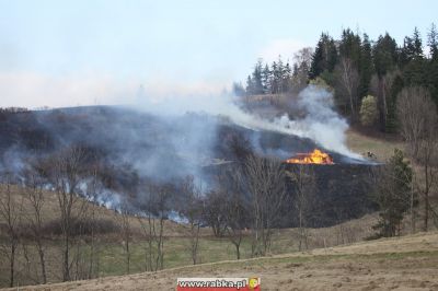 Kliknij aby obejrzeć w pełnym rozmiarze
