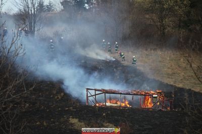 Kliknij aby obejrzeć w pełnym rozmiarze