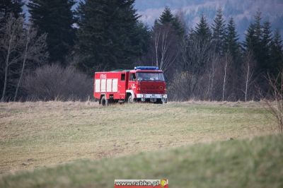 Kliknij aby obejrzeć w pełnym rozmiarze
