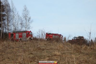 Kliknij aby obejrzeć w pełnym rozmiarze