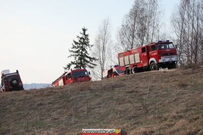 Kliknij aby obejrzeć w pełnym rozmiarze