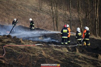 Kliknij aby obejrzeć w pełnym rozmiarze