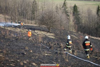 Kliknij aby obejrzeć w pełnym rozmiarze